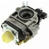 Carburateur H619-4 , 118801268/0 Pour Debroussailleuse Alpina