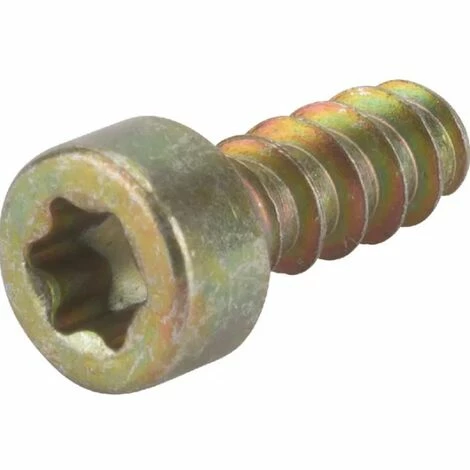 2123100 - Vis Pour Tronçonneuse ALPINA 3 2123100 - Vis Pour Tronçonneuse ALPINA