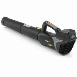 Alpina ABL 20 Li Kit Souffleur De Feuilles Sans Fil 20 V Li-Ion (1x 4.0Ah) - 32 M/s – Vitesse Variable