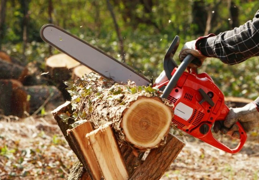 Alpina Magasin De Vente 3 Alpina Magasin De Vente -Alpina Magasin De Vente Cele mai bune drujbe