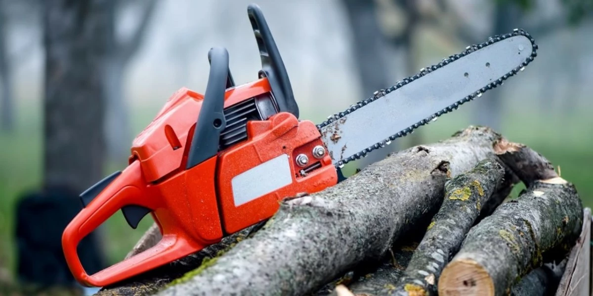 Alpina Magasin De Vente 4 Alpina Magasin De Vente -Alpina Magasin De Vente cele mai bune drujbe romanesti featured